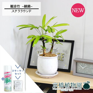 y5P5{IzyX^[^[ZbgtzyXeEhFMTCY/픫zω|iJm`Nj --@yϗtA/CeA//i`/A/蕨/yV/ʔ/X[