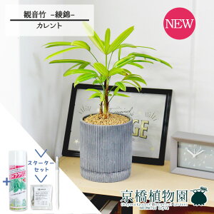 yX^[^[ZbgtzyJgS/ubNzω|iJm`Nj --@yϗtA/CeA//i`/A/蕨/yV/ʔ/X[TCY/lCi/Mtg/v