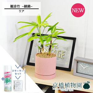 yX^[^[ZbgtzyASTCY/sNzω|iJm`Nj --@yϗtA/CeA//i`/A/蕨/yV/ʔ/X[TCY/lCi/Mtg/v