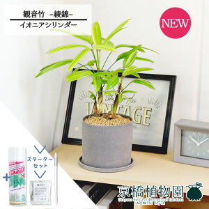 yX^[^[ZbgtzyCIjAV_[zω|iJm`Nj --@yϗtA/CeA//i`/A/蕨/yV/ʔ/X[TCY/lCi/Mtg/v