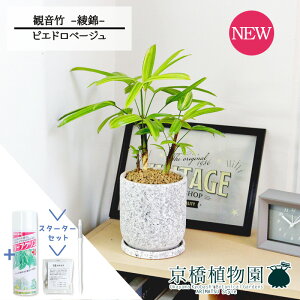 yX^[^[ZbgtzysGhx[Wzω|iJm`Nj --@yϗtA/CeA//i`/A/蕨/yV/ʔ/X[TCY/lCi/Mtg/v