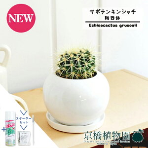 yX^[^[Zbgtzy픫/zCgzT{e ́iLV`jy󂯎Mtz3.5GyϗtA/CeA//i`/A/蕨/yV/ʔ/X[TCY/ɋ