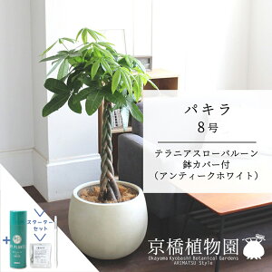 yX^[^[ZbgtzpL 8y[o[Jo[/AeB[NzCgzy傫߃TCY̕҂ݍݎdāzy~hTCY/TXeB[/SUSTEE/[tN/IB̃`Jz