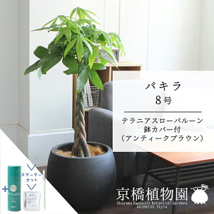 yX^[^[ZbgtzpL 8y[o[Jo[/AeB[NuEzy傫߃TCY̕҂ݍݎdāzy~hTCY/TXeB[/SUSTEE/[tN/IB̃`Jz