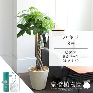 ySSN[|zyX^[^[ZbgtzyrAXJo[FzCgzpL 8y傫߃TCY̕҂ݍݎdāzy~hTCY/TXeB[/SUSTEE/[tN/IB̃`Jz