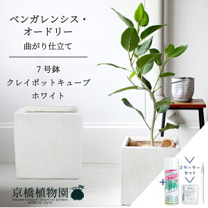 yX^[^[ZbgtzyNC|bgL[uJo[FzCgztBJXExKVXEI[h[ 7ytATCY/xKS/Vv/zCg//A/Mtg/v[