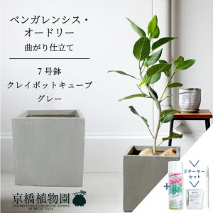 yX^[^[ZbgtzyNC|bgL[uJo[FO[ztBJXExKVXEI[h[ 7ytATCY/xKS/Vv/O[/D/A/Mtg/v[g/