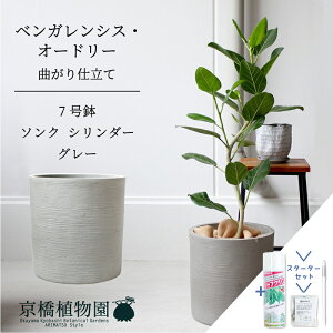 yX^[^[Zbgtzy\NV_[FEH[O[ztBJXExKVXEI[h[ 7ytATCY/xKS/Vv/O[/D/A/Mtg/v[g/j