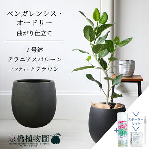 yX^[^[Zbgtzyo[Jo[FAeB[NuEztBJXExKVXEI[h[ 7ytATCY/xKS/Vv/ubN//A/Mtg/v[