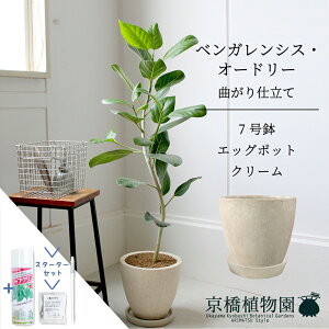 yX^[^[ZbgtzyGbO|bgFAC{[ztBJXExKVXEI[h[ 7ytATCY/xKS/Vv/zCg//A/Mtg/v[g/j/V