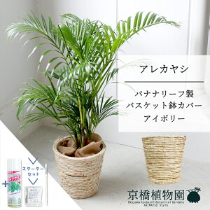 yubNtCf[N[|LIzyX^[^[ZbgtzyoXPbgJo[FAC{[zAJV@7@6Gy~hTCY/u/j/Vzj/Ă₷/ϗtA/V/z