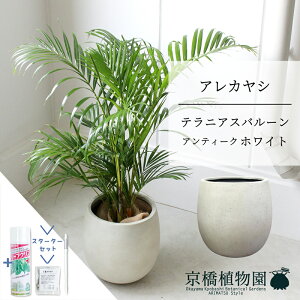 y5P5{IzySSN[|zySSizyX^[^[Zbgtzyo[Jo[FAeB[NzCgzAJV@6y~hTCY/u/j/Vzj/Ă₷/ϗt