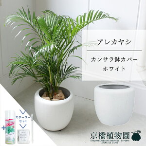 yubNtCf[N[|LIzyX^[^[ZbgtzyJTJo[FzCgzAJV@6y~hTCY/u/j/Vzj/Ă₷/ϗtA/V/zCg//