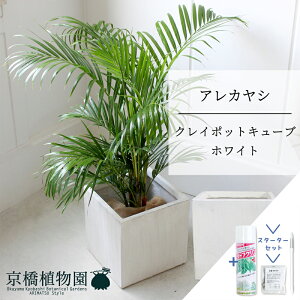 ySSN[|zyX^[^[ZbgtzyNC|bgL[uJo[FzCgzAJV@6y~hTCY/u/j/Vzj/Ă₷/ϗtA/V/zCg//TX