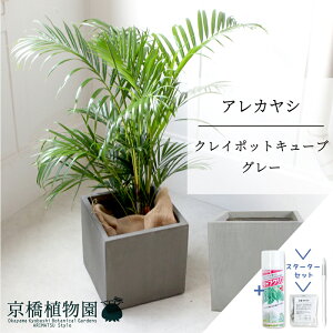 ySSN[|zyX^[^[ZbgtzyNC|bgL[uJo[FO[zAJV@6y~hTCY/u/j/Vzj/Ă₷/ϗtA/V/O[/D/TXeB