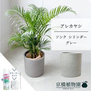 y5P5{IzySSN[|zyX^[^[Zbgtzy\NV_[FEH[O[zAJV@6y~hTCY/u/j/Vzj/Ă₷/ϗtA/V/uE