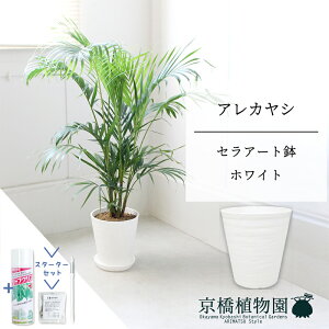 y5P5{IzySSN[|zyX^[^[ZbgtzyZA[gFzCgzAJV@7@6Gy~hTCY/u/j/Vzj/Ă₷/ϗtA/V/zCg//T