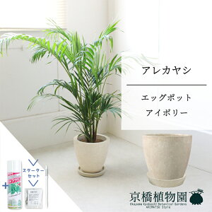 y5P5{IzySSN[|zySSizyX^[^[ZbgtzyGbO|bgFAC{[zAJV@y~hTCY/u/j/Vzj/Ă₷/ϗtA/V/zC