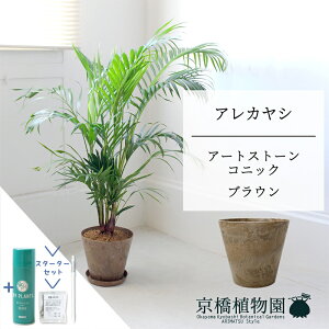 y5P5{IzySSN[|zySSizyX^[^[ZbgtzyA[gXg[@RjbN@uEzAJV@7@6Gy~hTCY/u/j/Vzj/Ă₷/ϗt