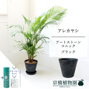 ySSN[|zyX^[^[ZbgtzyA[gXg[@RjbN@ubNzAJV@7@6Gy~hTCY/u/j/Vzj/Ă₷/ϗtA/V/ubN//TX