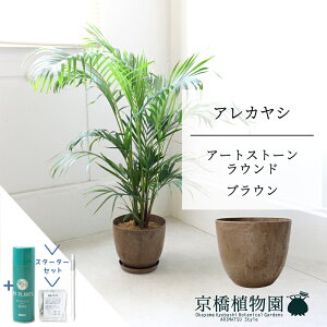 y5P5{IzySSN[|zySSizyX^[^[ZbgtzyA[gXg[@Eh@uEzAJV@7@6Gy~hTCY/u/j/Vzj/Ă₷/ϗt