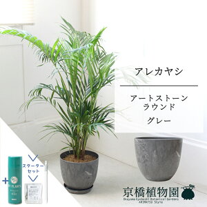 y5P5{IzySSN[|zyX^[^[ZbgtzyA[gXg[@Eh@O[zAJV@7@6Gy~hTCY/u/j/Vzj/Ă₷/ϗtA/V/O