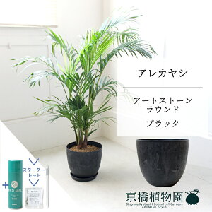 ySSN[|zySSizyX^[^[ZbgtzyA[gXg[@Eh@ubNzAJV@7@6Gy~hTCY/u/j/Vzj/Ă₷/ϗtA/V/O