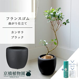 y30P5{Izy}\N[|LzyX^[^[ZbgtzyJTJo[FubNztXS@Ȃ@7y~hTCY/u/j/Vzj/Ă₷/ϗtA/S