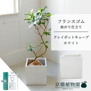 y30P5{Izy}\N[|LzyX^[^[ZbgtzyNC|bgL[uJo[FzCgztXS@Ȃ@7y~hTCY/u/j/Vzj/Ă₷/