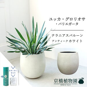 ySSN[|zyX^[^[Zbgtzyo[Jo[FAeB[NzCgzbJEOITEoGK[^@7y~hTCY/u/j/Vzj/ϗtA/TXeB