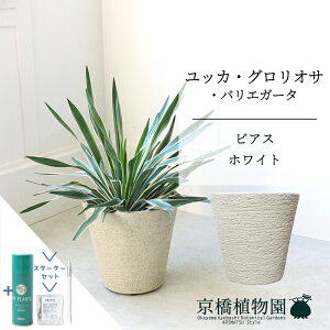 y5P5{IzySSN[|zySSizyX^[^[ZbgtzyrAXJo[FzCgzbJEOITEoGK[^@7y~hTCY/u/j/Vzj/ϗtA