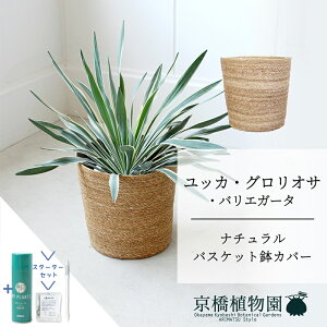 y5P5{IzySSN[|zySSizyX^[^[Zbgtzyi`oXPbgJo[zbJEOITEoGK[^@7y~hTCY/u/j/Vzj/