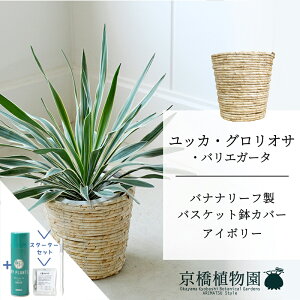 ySSN[|zySSizyX^[^[ZbgtzyoXPbgJo[FAC{[zbJEOITEoGK[^@7y~hTCY/u/j/Vzj/ϗtA/TXe