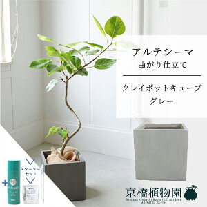 y1P7{IzyX^[^[ZbgtzyNC|bgL[uJo[FO[ztBJXEAeV[}@Ȃ@7y~hTCY/u/j/Vzj/ϗtA/TXeB[/SUSTEE/