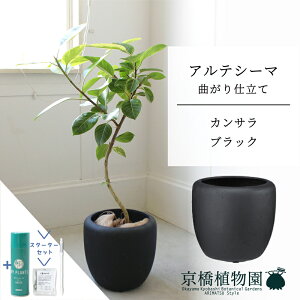 y5P5{IzySSN[|zyJTJo[FubNztBJXEAeV[}@Ȃ@7y~hTCY/u/j/Vzj/ϗtAzy^z