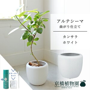 y1P7{IzyX^[^[ZbgtzyJTJo[FzCgztBJXEAeV[}@Ȃ@7y~hTCY/u/j/Vzj/ϗtA/TXeB[/SUSTEE/[tN