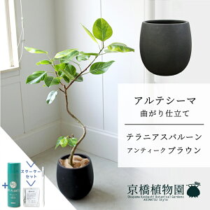 y1P7{IzyX^[^[Zbgtzyo[Jo[FAeB[NuEztBJXEAeV[}@Ȃ@7y~hTCY/u/j/Vzj/ϗtA/TXeB[/SUSTEE