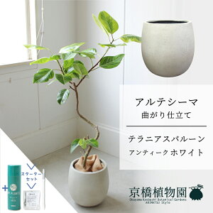 y5P5{IzySSN[|zyX^[^[Zbgtzyo[Jo[FAeB[NzCgztBJXEAeV[}@Ȃ@7y~hTCY/u/j/Vzj/ϗtA