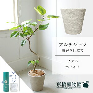 y1P7{IzyX^[^[ZbgtzyrAXJo[FzCgztBJXEAeV[}@Ȃ@7y~hTCY/u/j/Vzj/ϗtA/TXeB[/SUSTEE/[tN/I