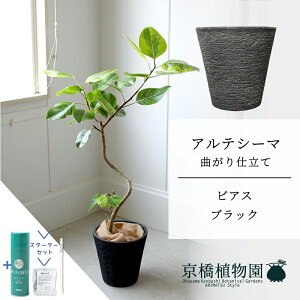 y30P5{IzyX^[^[ZbgtzyrAXJo[FubNztBJXEAeV[}@Ȃ@7y~hTCY/u/j/Vzj/ϗtA/TXeB[/SUSTEE/[tN/