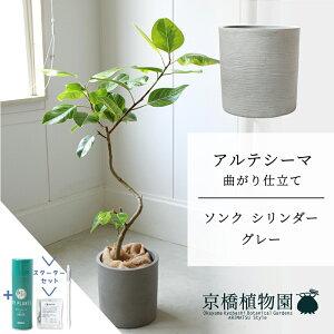 y30P5{IzyX^[^[Zbgtzy\NV_[FEH[O[ztBJXEAeV[}@Ȃ@7y~hTCY/u/j/Vzj/ϗtA/TXeB[/SUSTEE/[