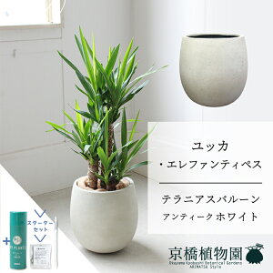 y5P5{IzySSN[|zyX^[^[Zbgtzyo[Jo[FAeB[NzCgzbJEGt@eByX@7y~hTCY/u/j/Vzj/ϗtA/