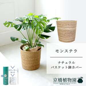 ySSN[|zySSizyX^[^[Zbgtzyi`oXPbgJo[zXe@8y~hTCY/u/j/Vzj/ϗtA/TXeB[/SUSTEE/[tN/IB