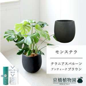 yX^[^[Zbgtzyo[Jo[FAeB[NuEzXe@8y~hTCY/u/j/Vzj/ϗtA/TXeB[/SUSTEE/[tN/IB̃`Jzy^z