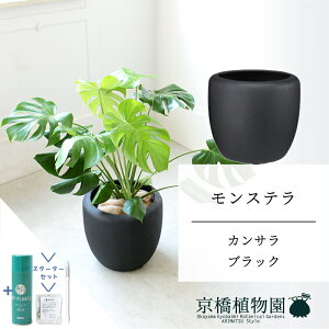 ySSN[|zyX^[^[ZbgtzyJTJo[FubNzXe@8y~hTCY/u/j/Vzj/ϗtA/TXeB[/SUSTEE/[tN/IB̃`Jzy