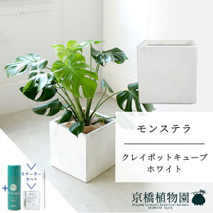 ySSN[|zySSizyX^[^[ZbgtzyNC|bgL[uJo[FzCgzXe@8y~hTCY/u/j/Vzj/ϗtA/TXeB[/SUSTEE/[