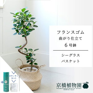 y30P5{IzyX^[^[ZbgtzyV[OXoXPbgztXS@Ȃ@6y󂯎Mtzy~hTCY/u/j/Vzj/Ă₷/ϗtA/TXeB[/SUSTEE/[