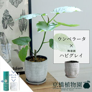 y5P5{IzySSN[|zyX^[^[ZbgtzynsOCzEx[^@5Gy󂯎MtzyX[TCY/j/Vzj/Ă₷/ϗtA/n[g[t/TXeB[/SUSTE