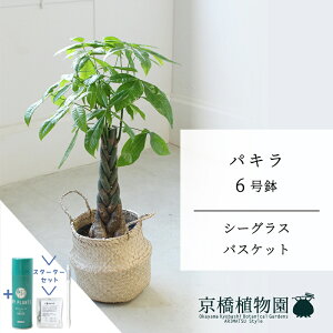 y10P5{IzySSN[|zyX^[^[ZbgtzyV[OXoXPbgzpL@6y󂯎Mtzy~hTCY/u/j/Vzj/Ă₷/ϗtA/TXeB[/SUSTEE/