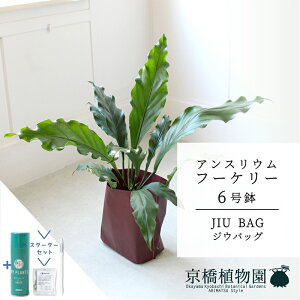 y30P5{IzyX^[^[ZbgtzyJIU BAGiWEobOjzAXEEt[P[@6y󂯎Mtzy~hTCY/u/j/Vzj/Ă₷/ϗtA/TXeB[/SUSTEE/